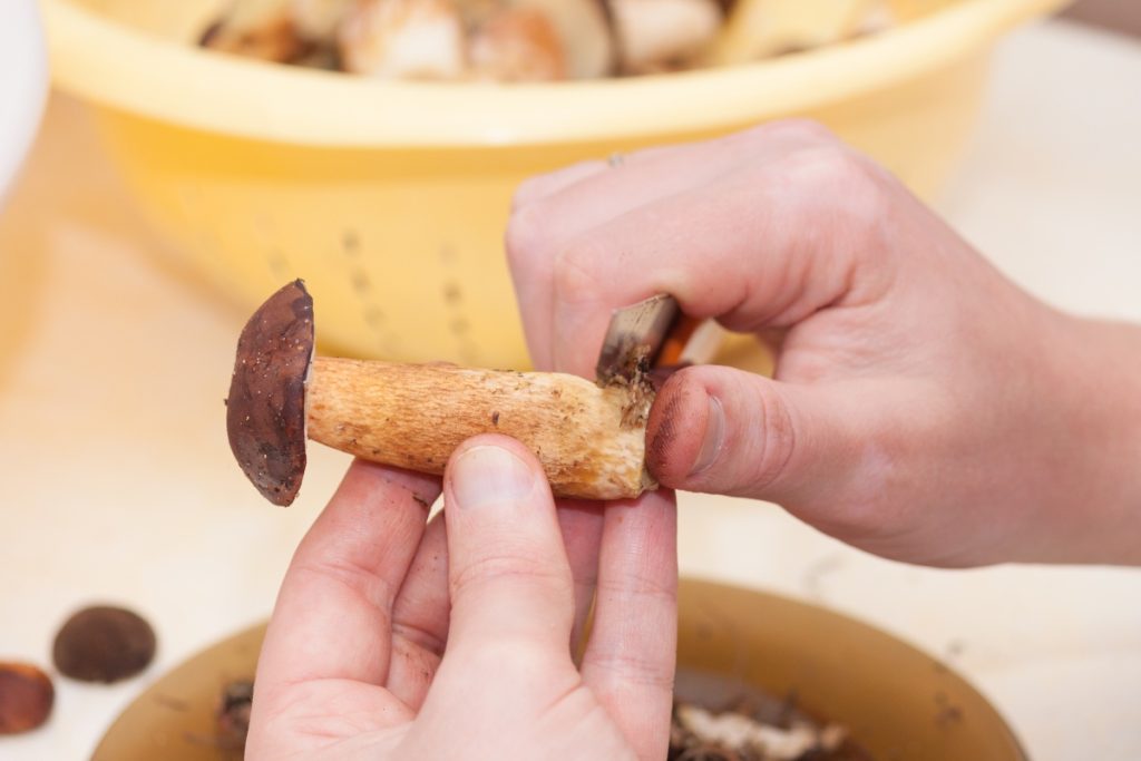 How to clean mushrooms. Trimming dirt off mushroom stems.