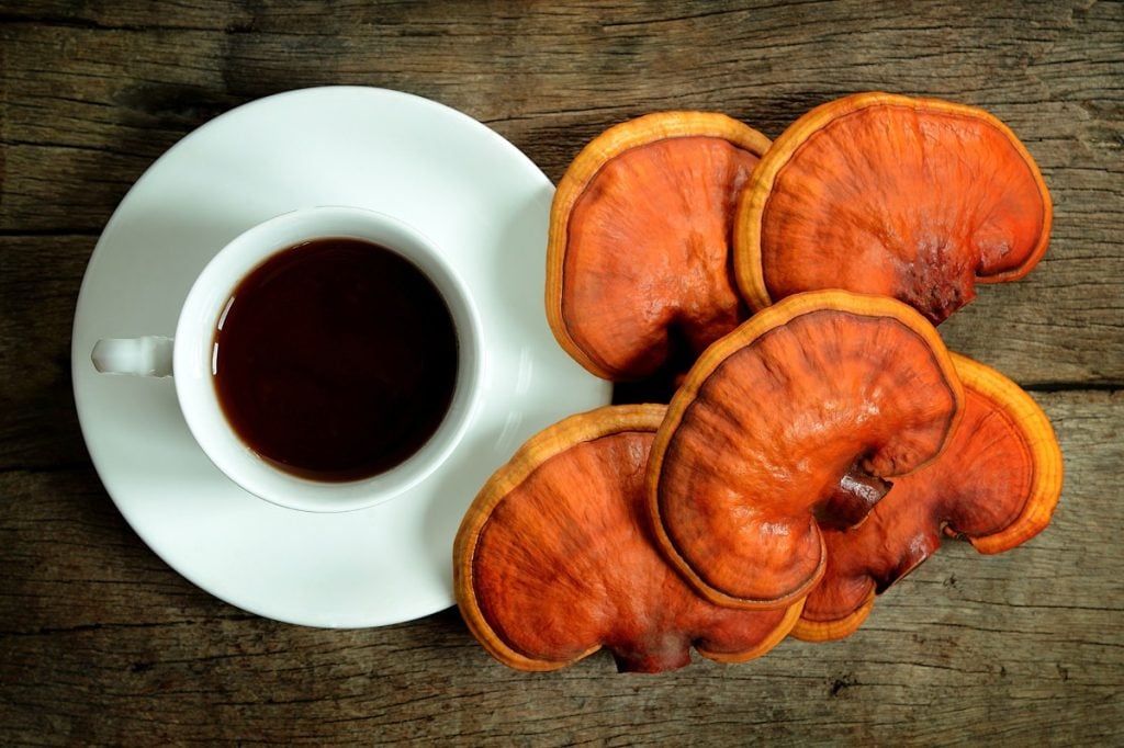 Reishi mushrooms and reishi mushroom tea