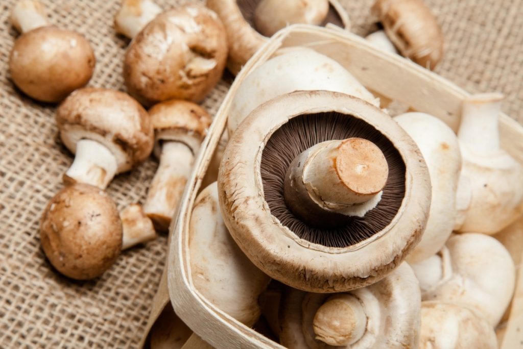 Button, cremini and portobello mushrooms
