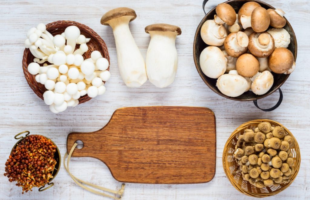 A selection of edible mushrooms