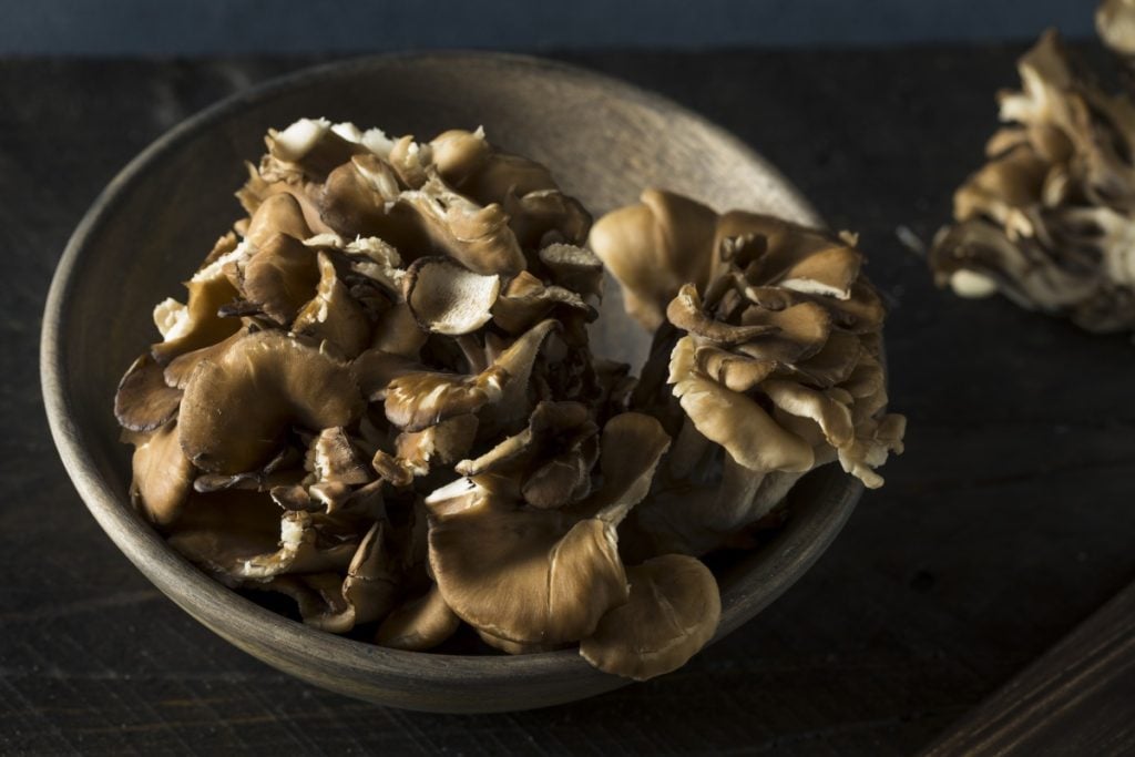 Maitake mushrooms