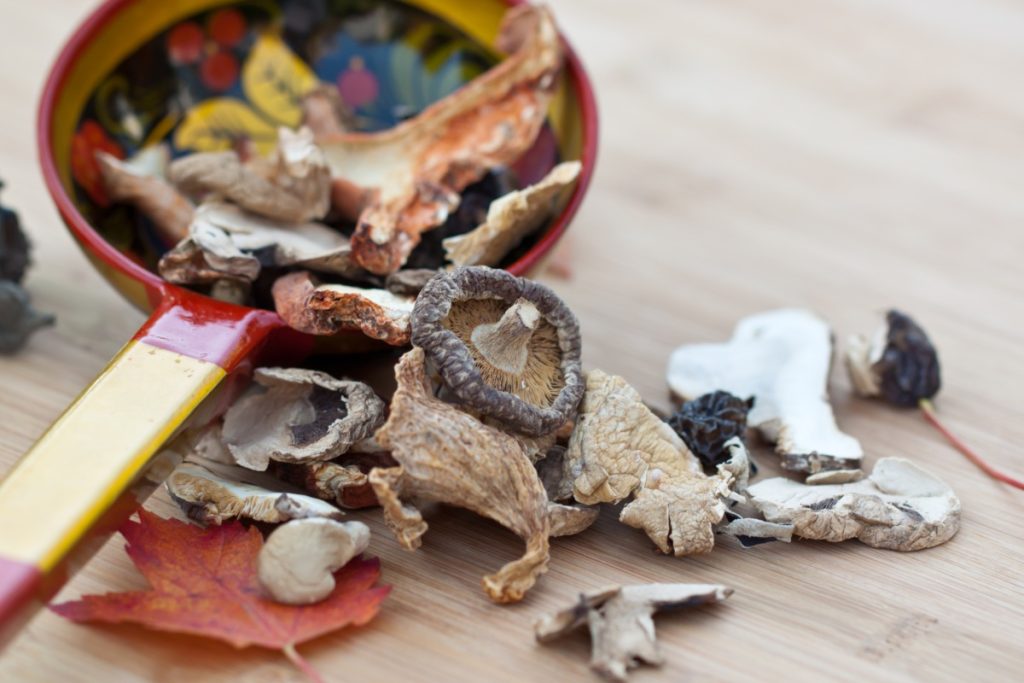 Different types of dried mushrooms