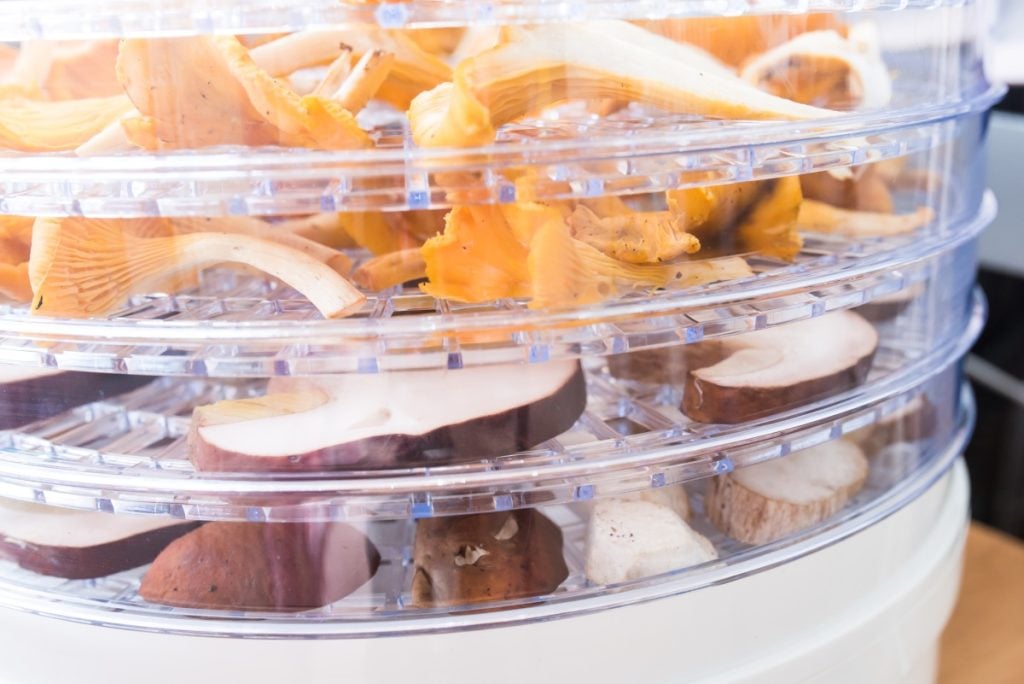 Mushrooms in a dehydrator