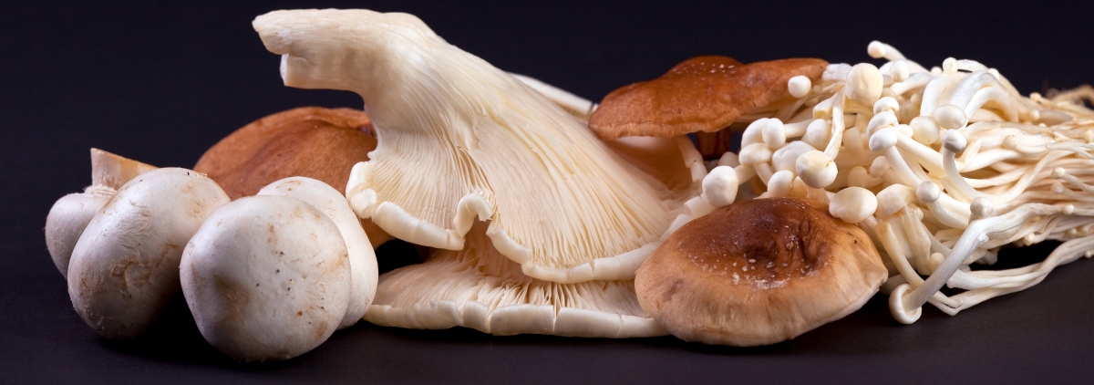 Flavor mushroom
