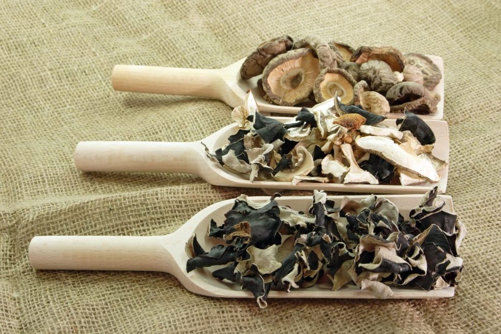 Different types of dried mushrooms to be used to make a mushroom tincture.