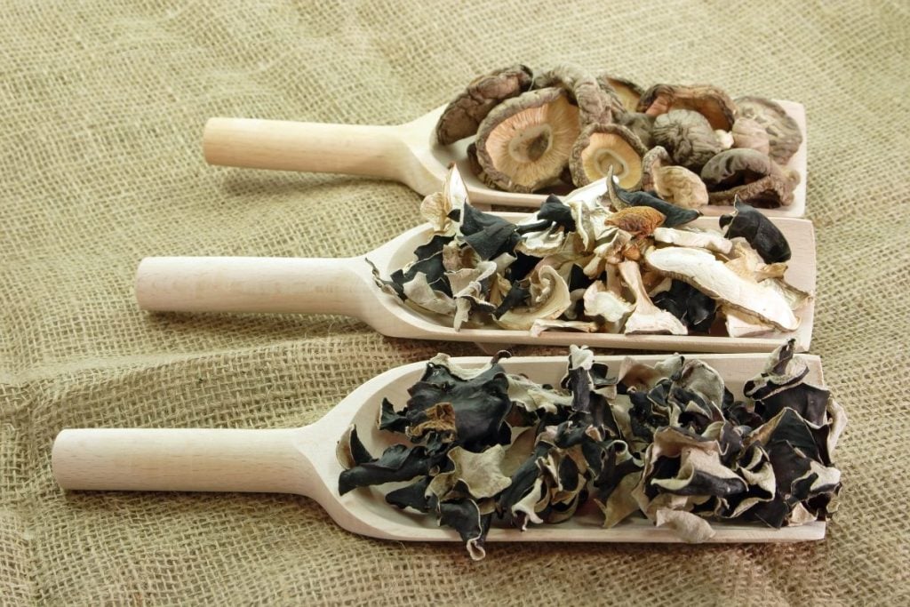 How to Dry Mushrooms 4 Different Ways