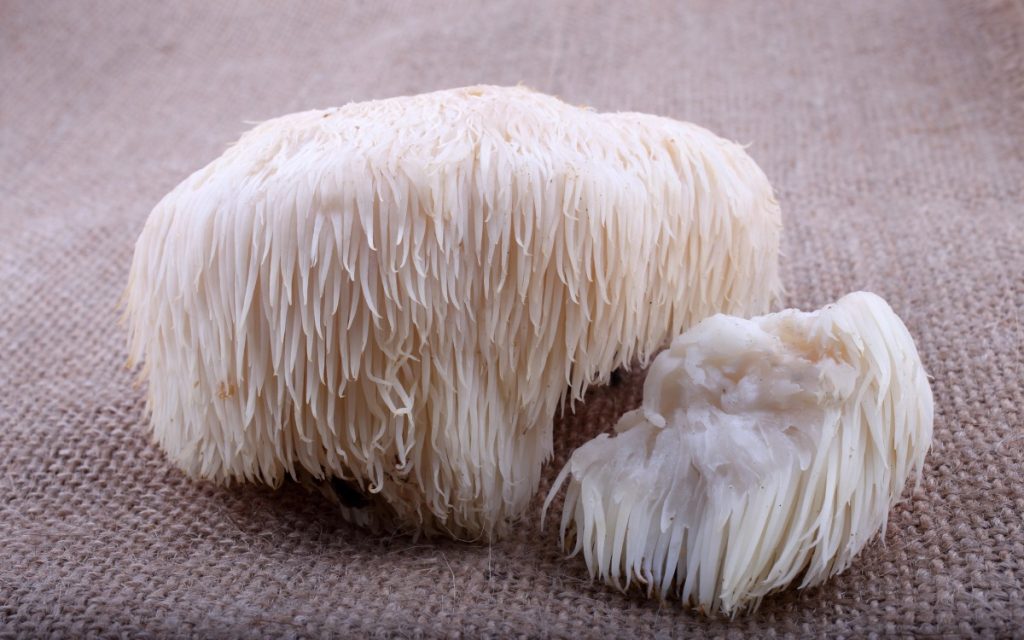 Lion's mane mushrooms