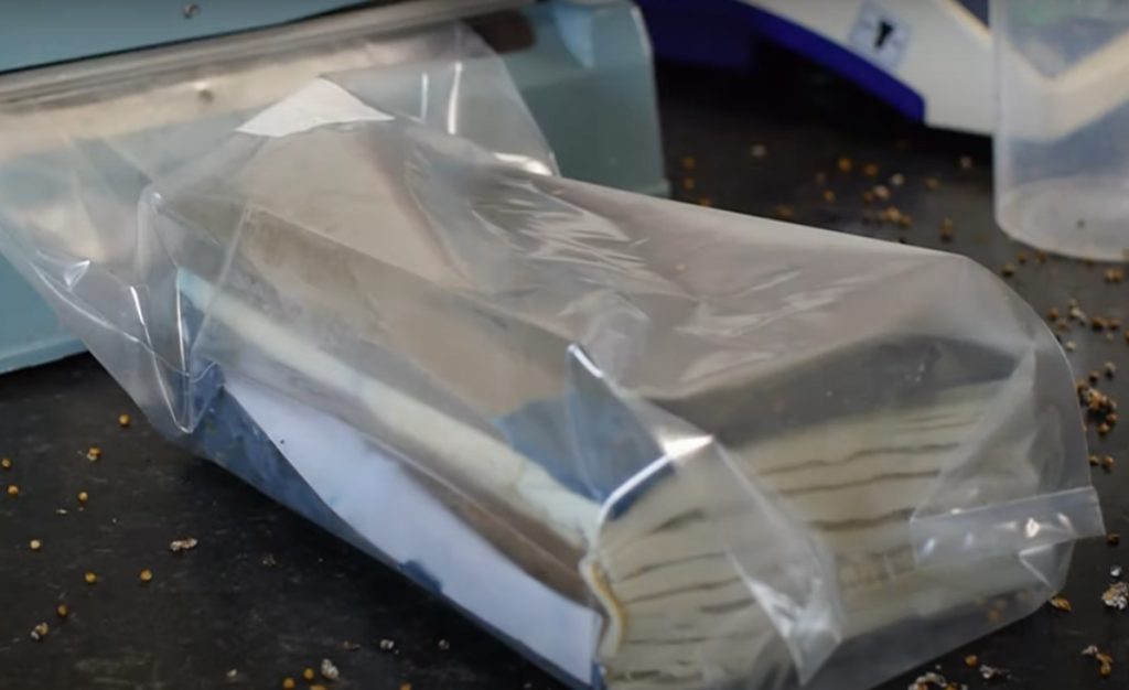 Sealing the book in a bag for incubation
