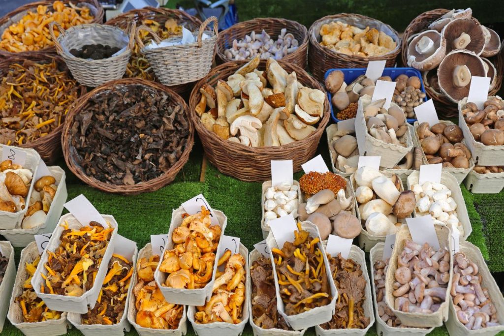Foraged mushrooms for sale at a farmers market.