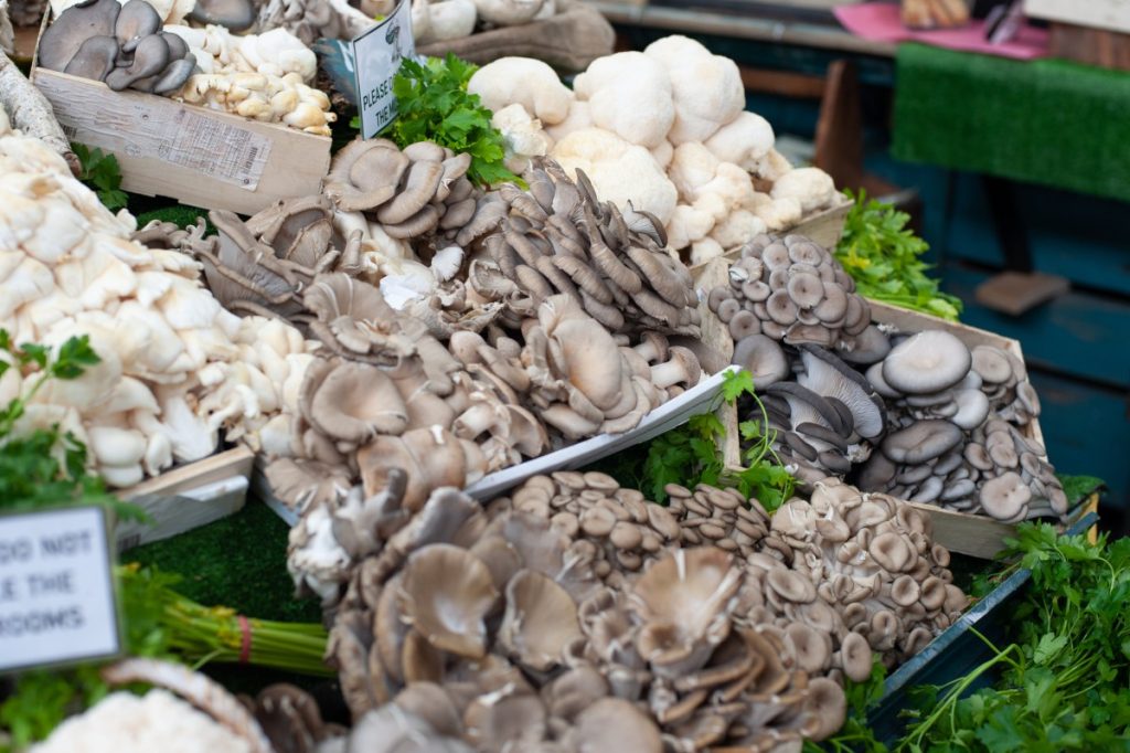 Oyster and lion's mane mushrooms on sale at a farmers market