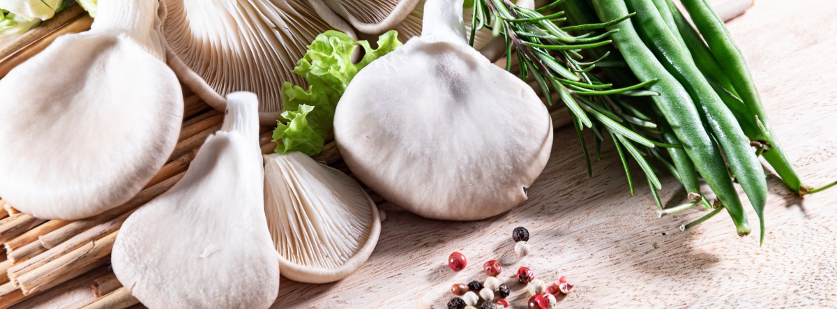 How to Sell Mushrooms to Restaurants: an Insider's Guide | GroCycle