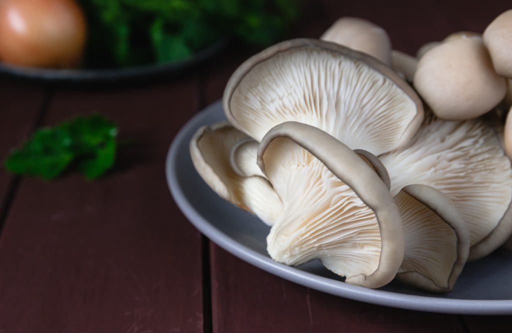 Raw oyster mushrooms