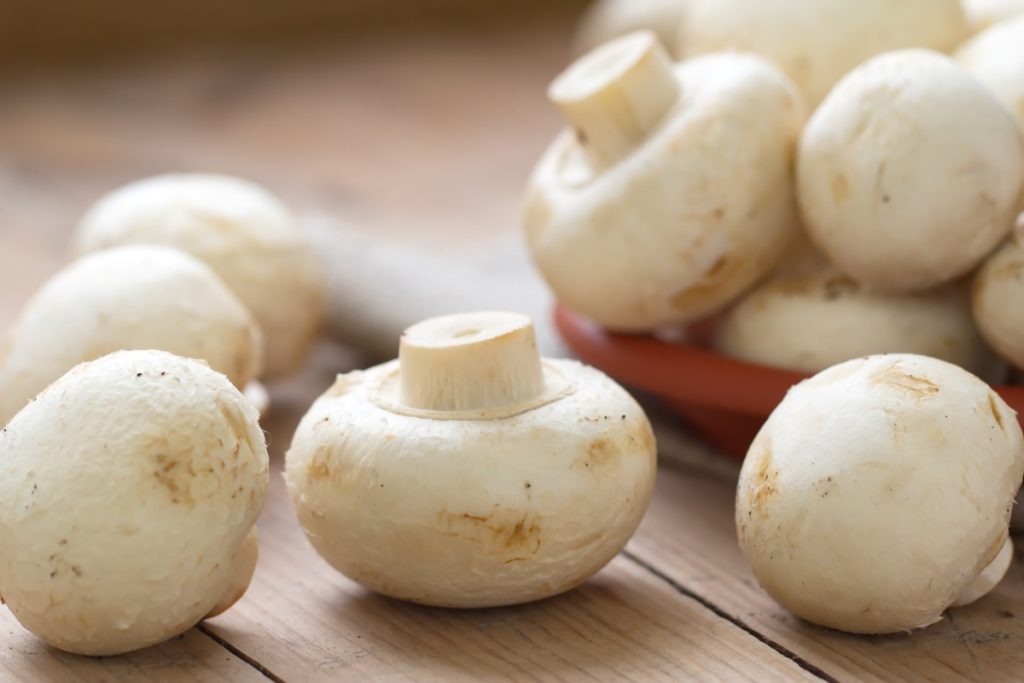Raw white mushrooms
