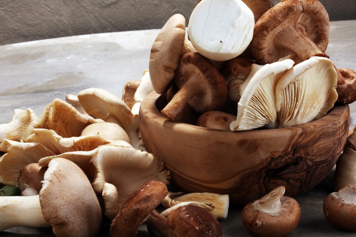 Can You Eat Raw Mushrooms? How To Dine Safely GroCycle