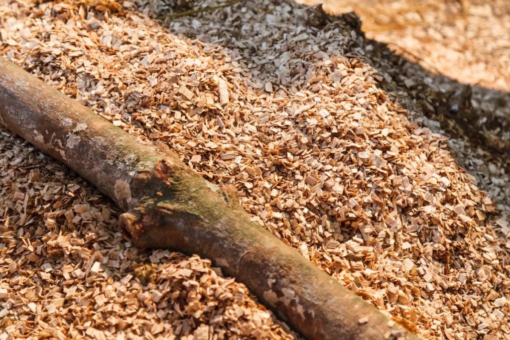 Hardwood wood chips that can also be used when growing mushrooms on sawdust blocks.