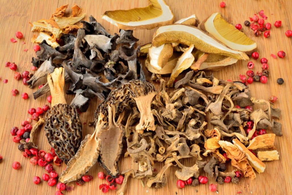 A selection of dried mushrooms