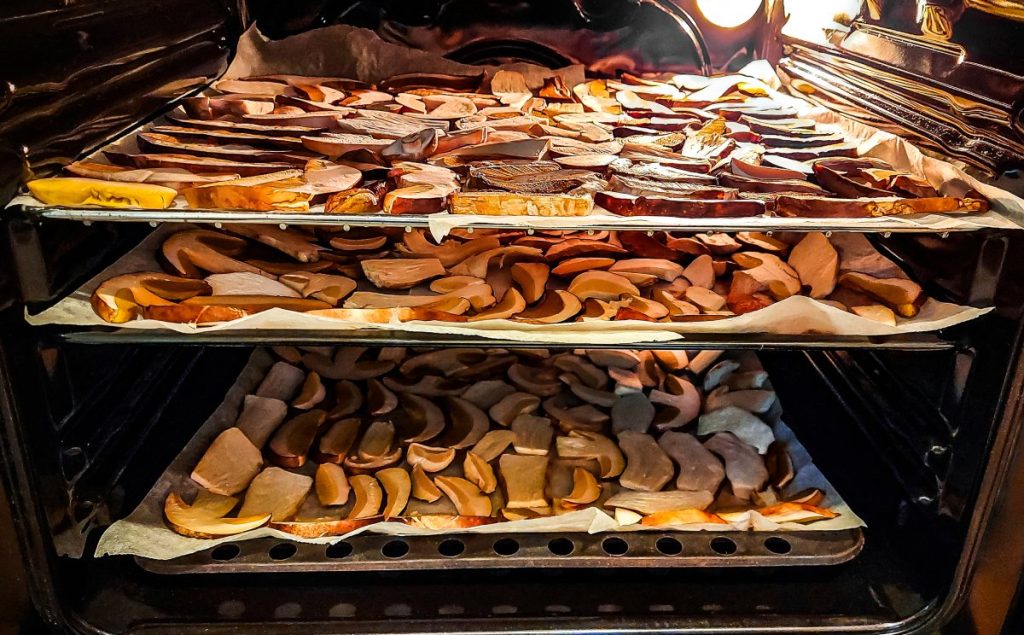 How to dry mushrooms. Mushrooms on lined baking trays being dried in the oven