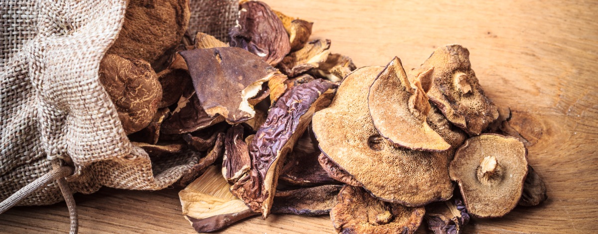 https://grocycle.com/wp-content/uploads/2022/05/dried-mushrooms-cover-pic.jpg