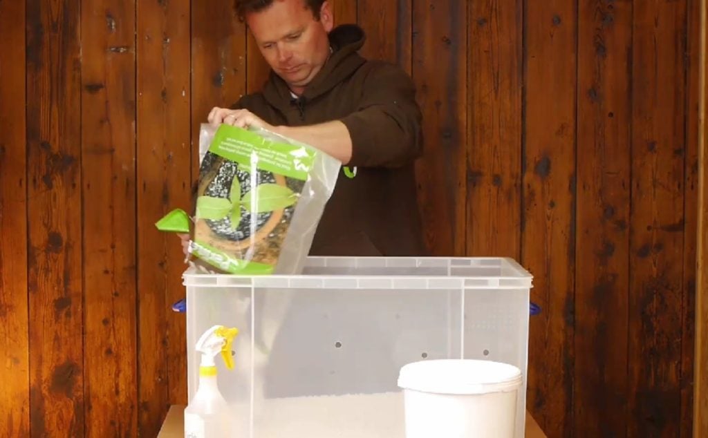 Adding perlite to the shotgun fruiting chamber.