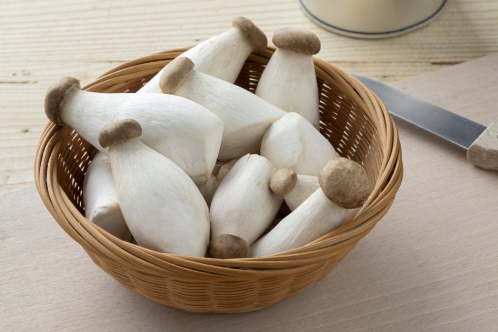 Baby king oyster mushrooms.