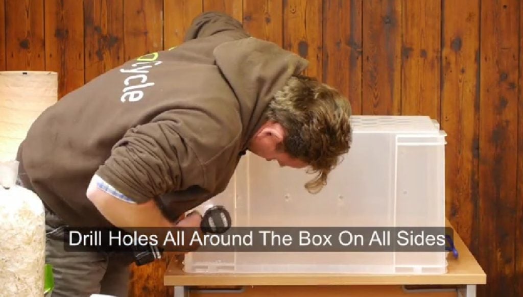 Drilling holes in a clear tote to make a shotgun fruiting chamber.