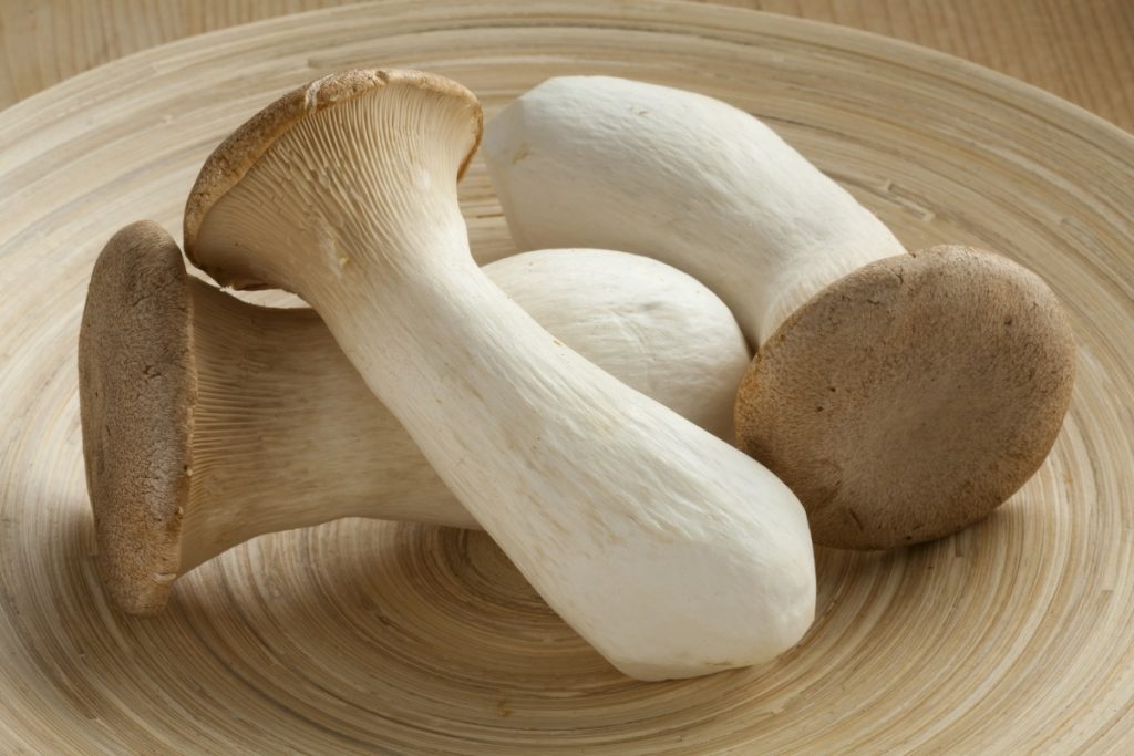 Fresh king oyster mushrooms on a plate
