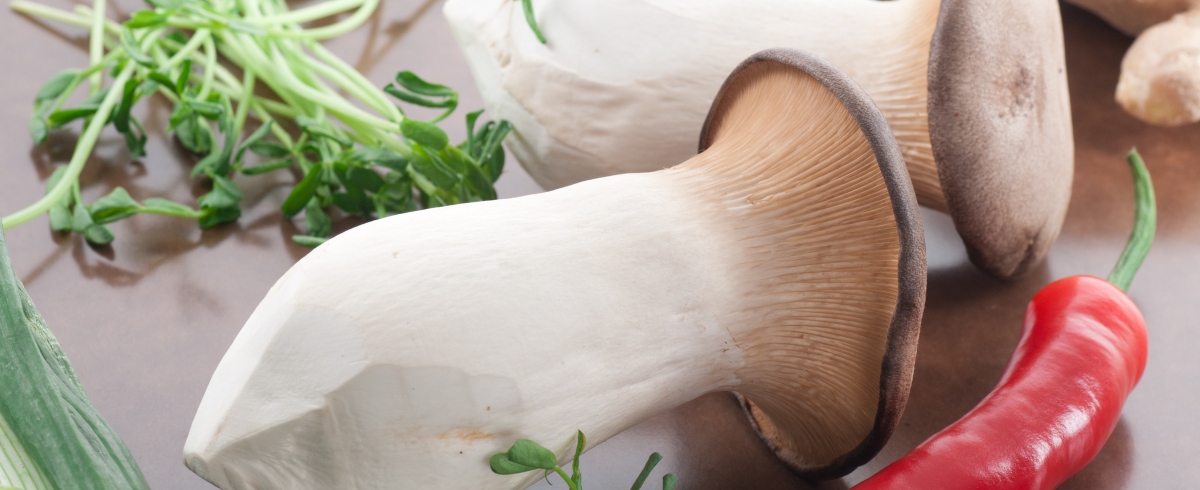 The Complete Guide to King Oyster Mushrooms + Easy Recipes