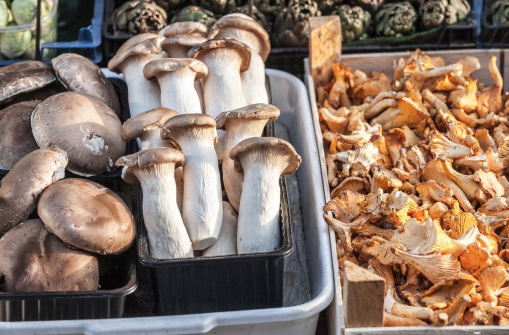 King oyster mushrooms for sale at a farmer's market.