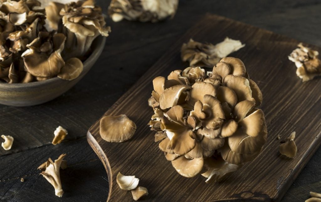 Fresh maitake mushrooms