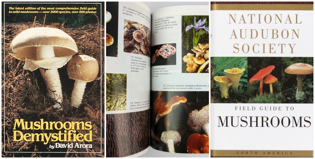 Mushroom identification books