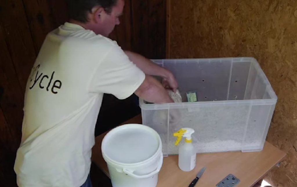 Placing a bag of colonized substrate in the shotgun fruiting chamber.