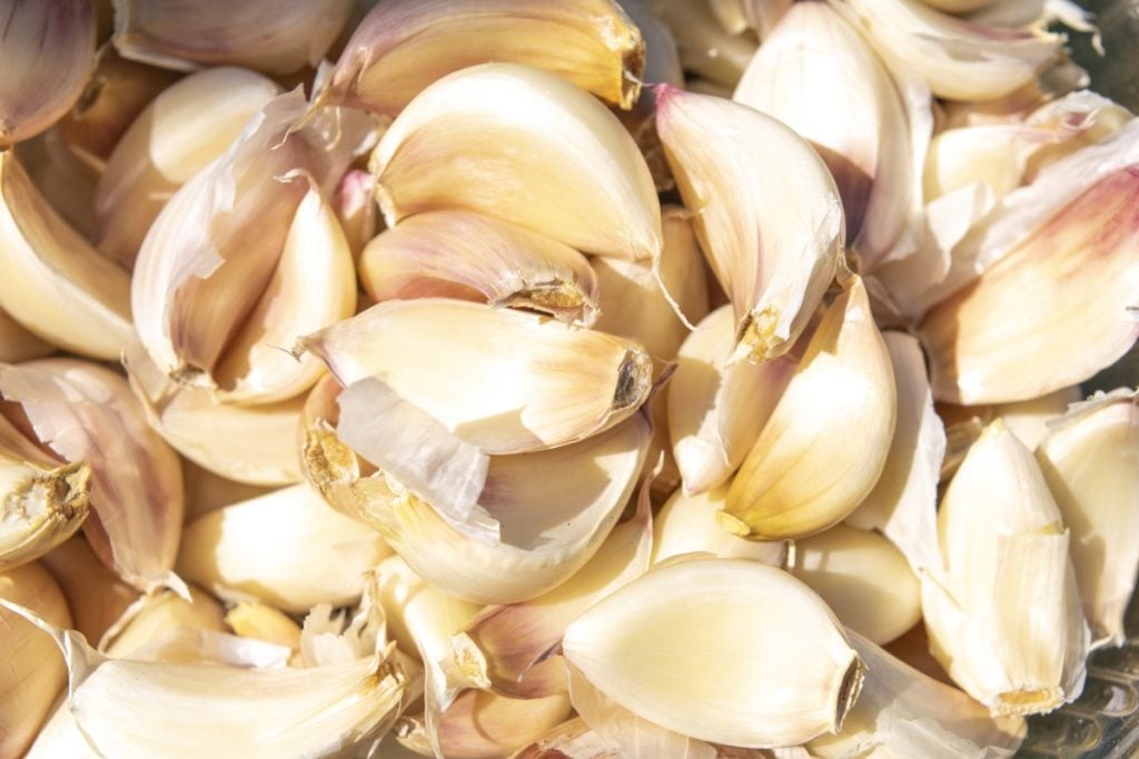 Garlic cloves ready for planting