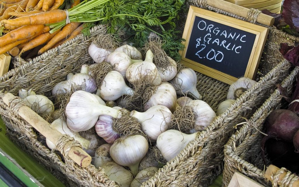 Organic garlic for sale at a farmer's market.
