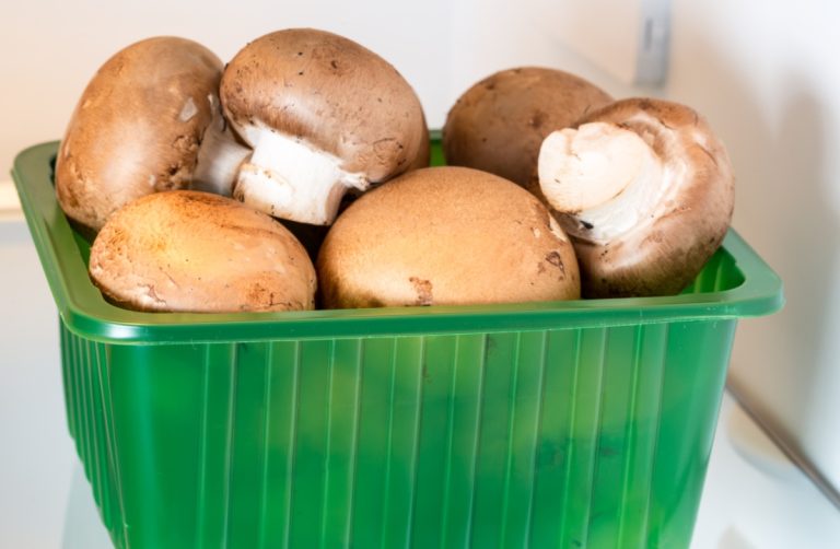 Mushrooms-in-a-fridge-1 | GroCycle