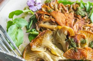 The Complete Guide to Yellow Oyster Mushrooms | GroCycle