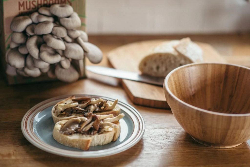 mushroom growing kit