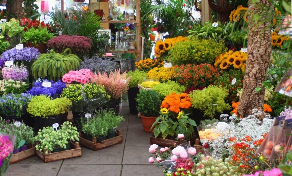 Different cut flowers for sale at a market.