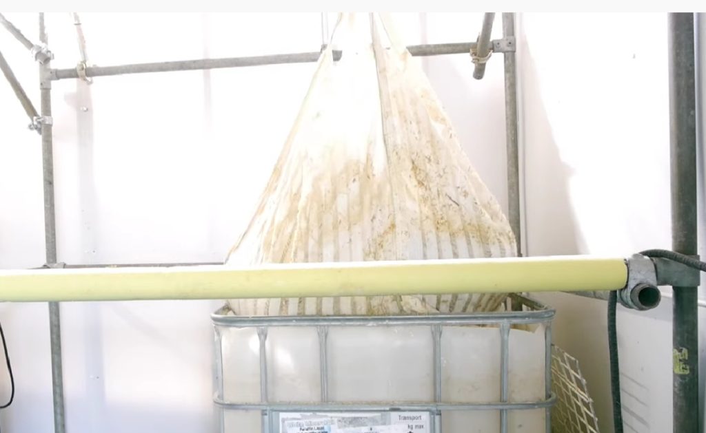 Pasteurizing bulk quantities of straw using cold water lime bath pasteurization.