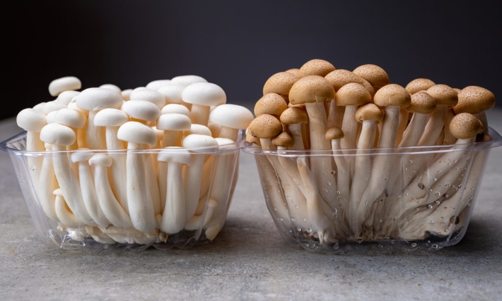 White and brown shimeji mushrooms