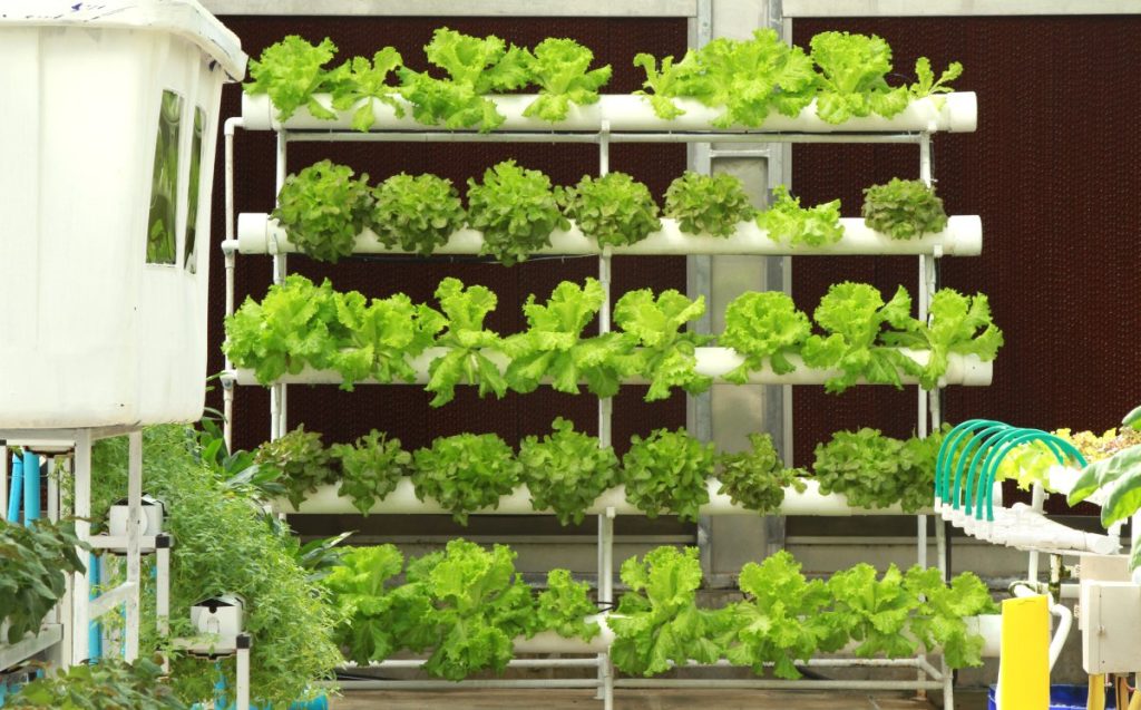 Vertical hydroponics system