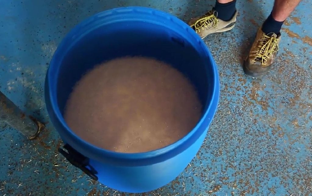 A barrel of soap solution ready for mushroom substrate pasteurization.