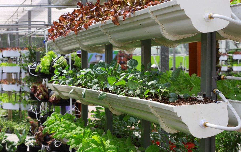 Vertical hydroponics system from growing hydroponically indoors