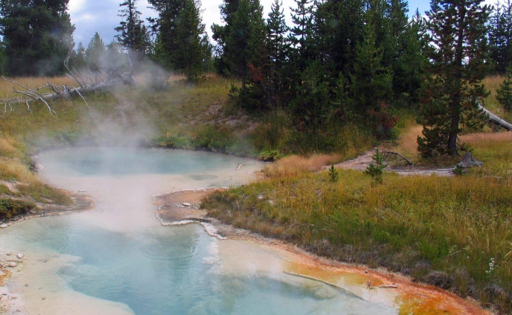 Hot springs in Yellowstone National Park.