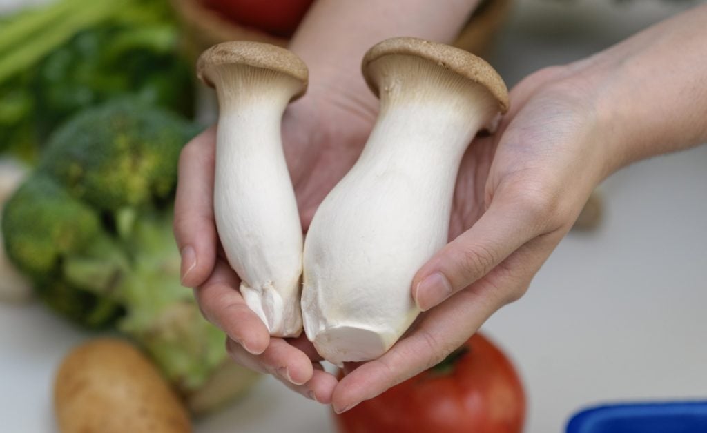 Fresh king oyster mushrooms