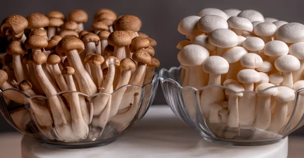 The Complete Guide to Shimeji Mushrooms (Hypsizygus tessulatus) +