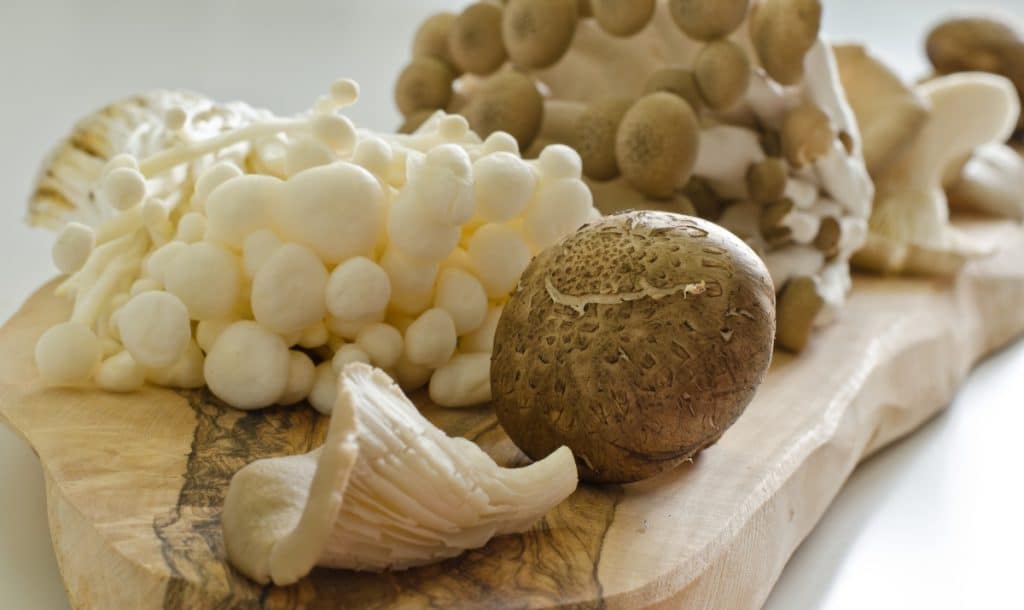 An assortment of specialty mushrooms