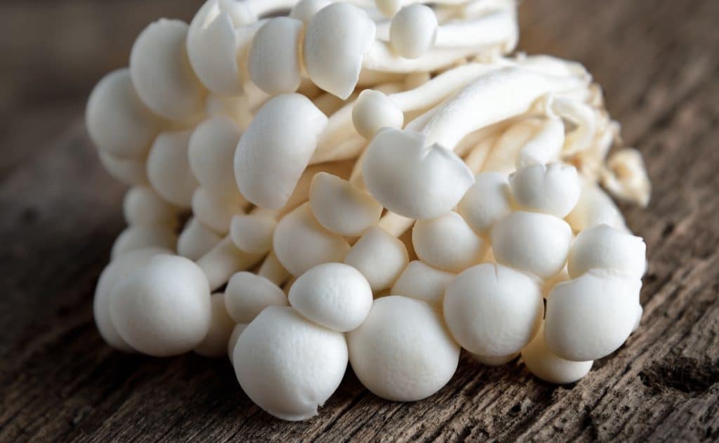 White shimeji mushrooms