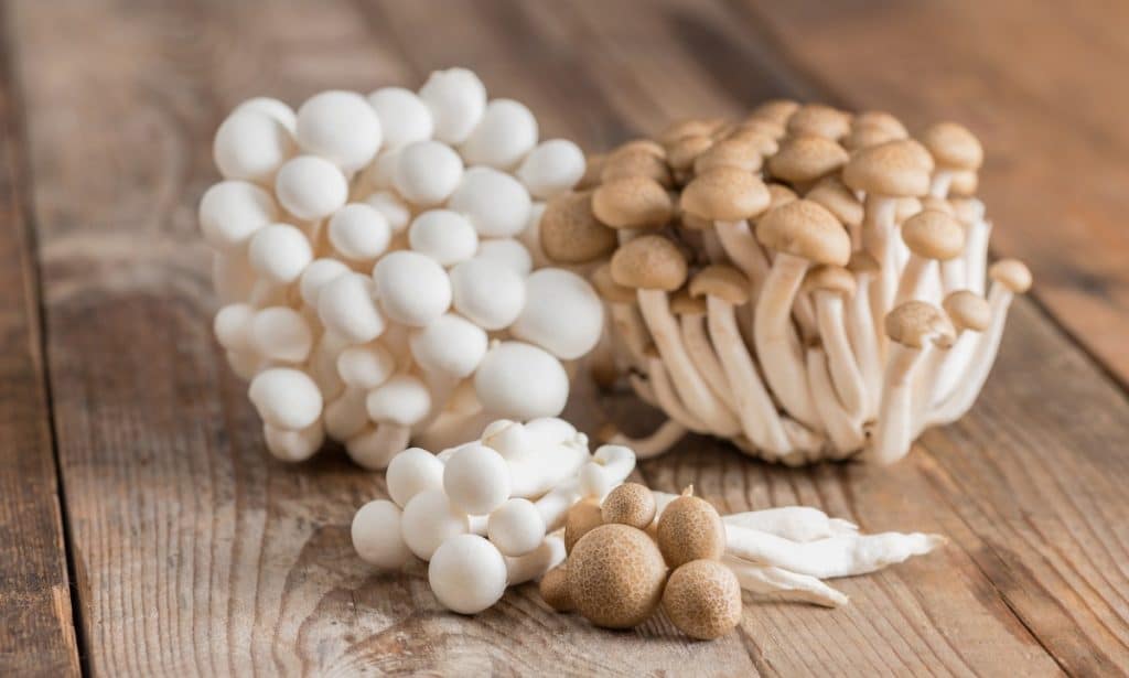 Clusters of white and brown shimeji mushrooms