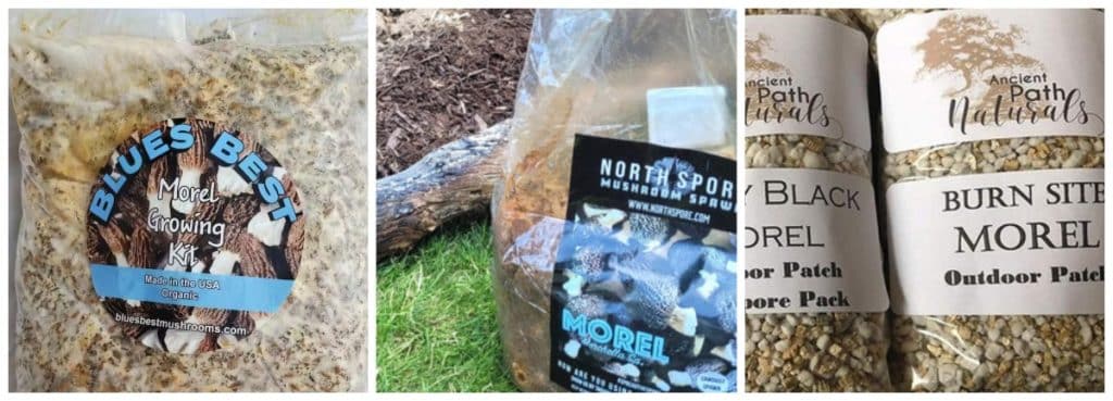 Morel mushroom grow kits