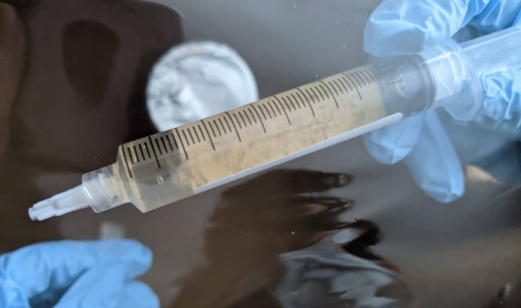 A syringe of mushroom culture